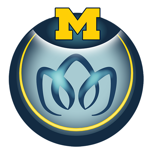 MeTime Acupressure logo