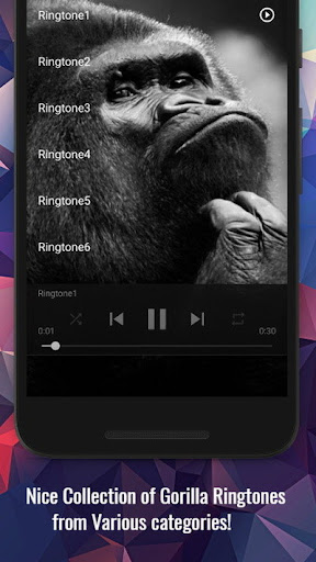 Gorilla Sounds Screen 2