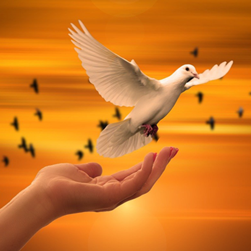 Musica cristiana Windows에서 다운로드