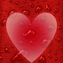 Icon image Valentine Day Wishes