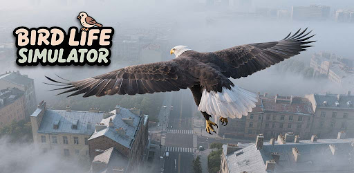 Bird Life Simulator