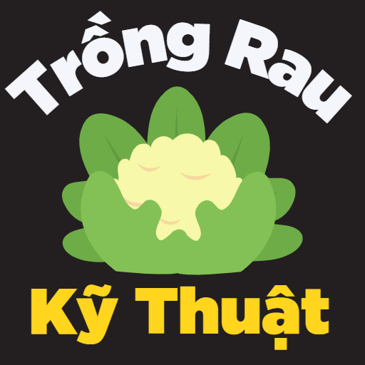 Kỹ Thuật Trồng Rau logo