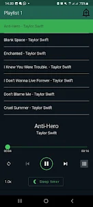 Taylor Swift Song Offline