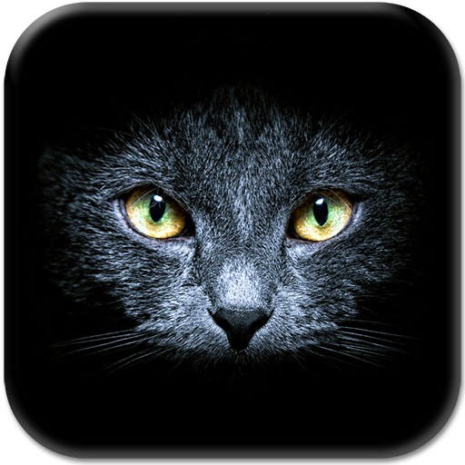 黒猫ライブ壁紙 Google Play のアプリ