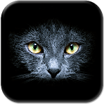 Cover Image of ダウンロード Black Cats Live Wallpaper 10.0 APK