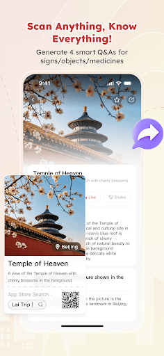 Lai Trip screenshot 6