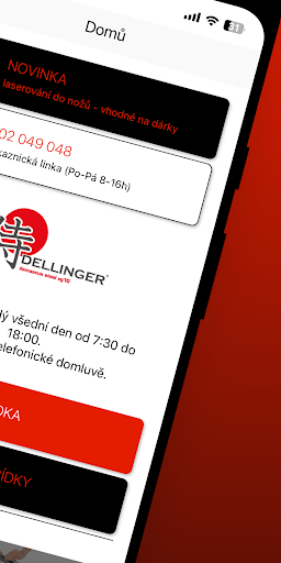 DELLINGER Screen 2