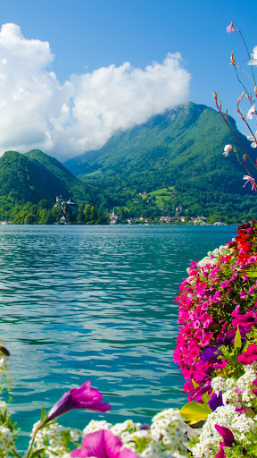 Android application Spring Flowers Wallpapers screenshort