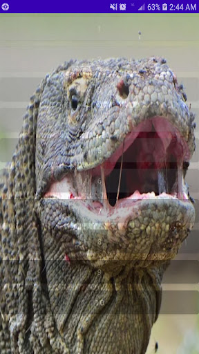 Android application Komodo Dragon Reptile Sounds screenshort