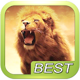 Lion Roar Animals Sound icon