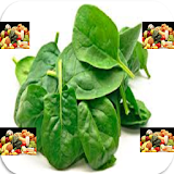 NEW HEALTHY SPINACH RECIPES icon