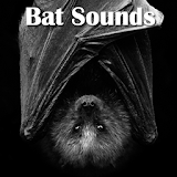 Bat Sounds icon