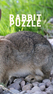 My Rabbit 2 Puzzle Tk88