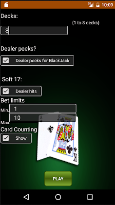 BlackJack PRO++ - Screenshot 1