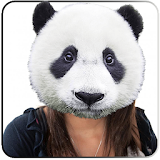تركيب وجه الباندا في صورك icon