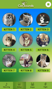 Cat Sounds(圖3)-速報App