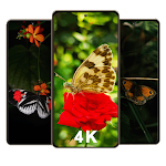 Cover Image of Descargar Butterfly Wallpapers  APK
