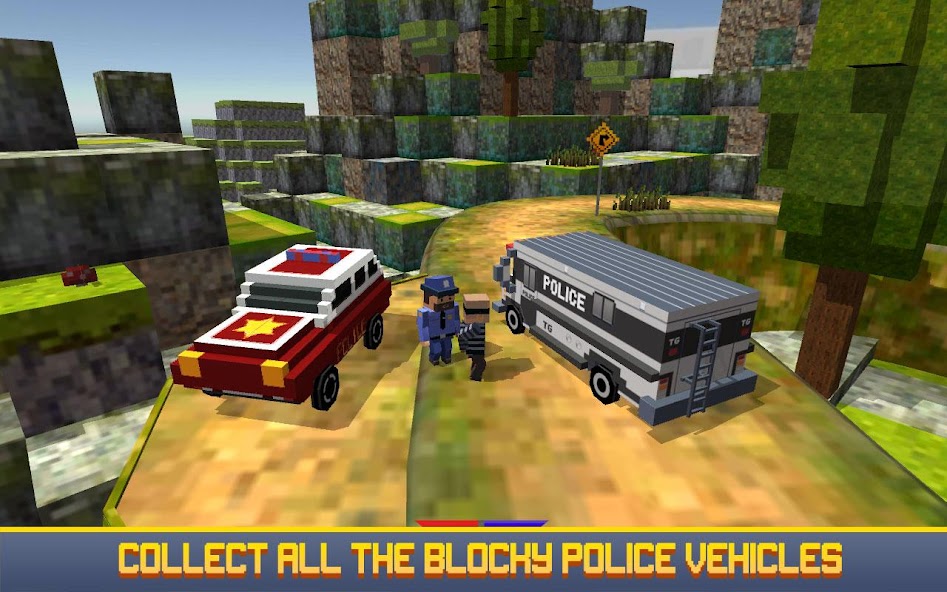 Blocky San Andreas Police 2017 banner