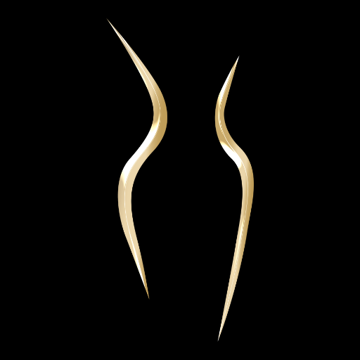 SylwetkaPro logo