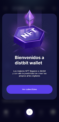 Distbit Wallet Screen 2