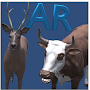 AR Animals - Using Ar Core