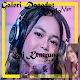 Galeri Dangdut Koplo MP3 Download on Windows