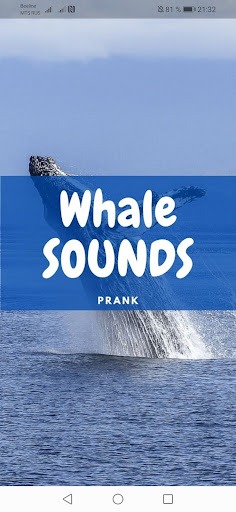 Whale Sounds and Wallpapers