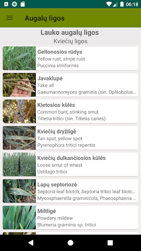 Android application IKMIS screenshort