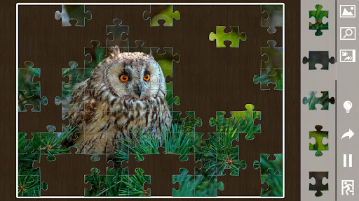 Jigsaw puzzles for everyone 21