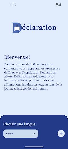 Declaration Alerts Screen 2