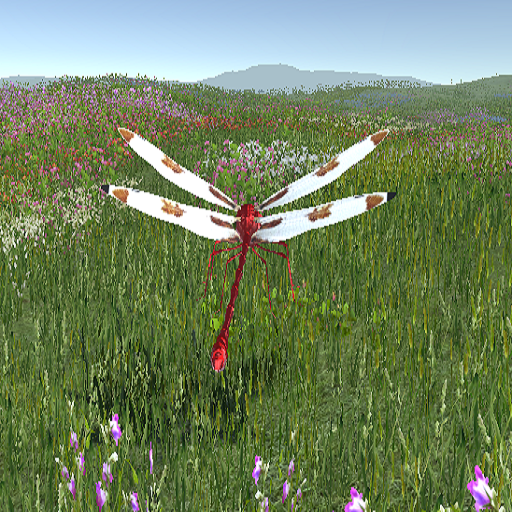 DragonFly logo