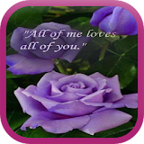 Cute Love Quotes WP icon