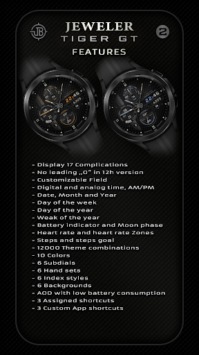 Jeweler Tiger GT Screen 2