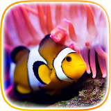 Clownfish Live Wallpaper icon