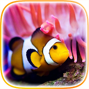 Top 26 Personalization Apps Like Clownfish Live Wallpaper - Best Alternatives