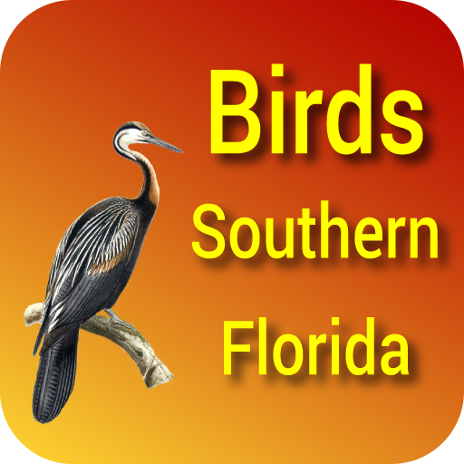 Birds of Southern Florida logo