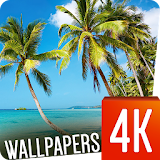 Tropical Wallpapers 4k icon