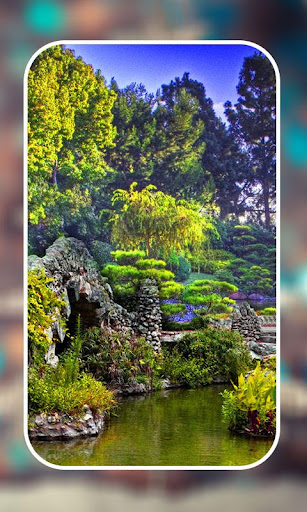Android application Garden Live Wallpapers screenshort