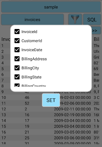Simple SQLite Viewer Screen 3