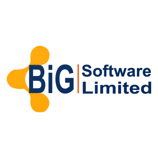 Big Software logo
