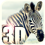 Zebra Simulator 3D Wildlife icon