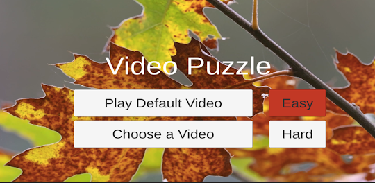 Video Puzzle