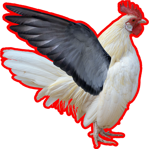 Chicken Screen 3