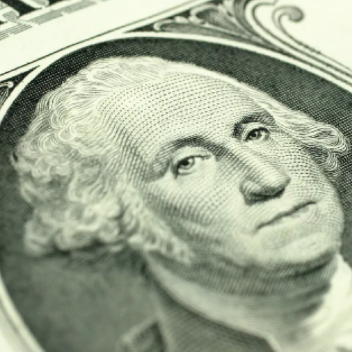 Do you have 1 dollar? logo