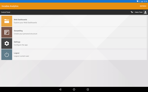 Incadea Business Analytics