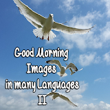 Good Morning Images M. Lang. 2 icon