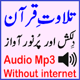 The Quran Audio Mp3 Q Sadaqat icon