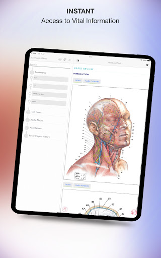 Screenshot of Rapid Review Anatomy Guide