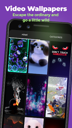 ZEDGE™ Wallpapers & Ringtones screenshot 6