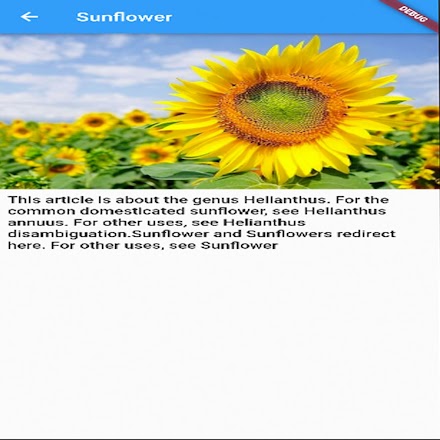Simple sunflower Screen 2